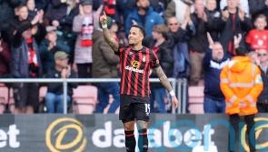 Bournemouth brush aside Brighton to move into Premier League top half