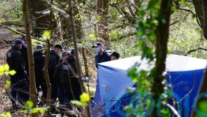 More human remains found at two locations in torso murder probe