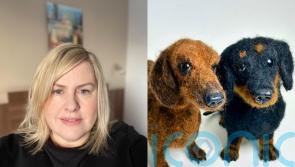 Needle felt artist brings comfort to pet owners with woollen sculptures