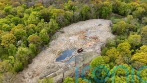 Calls to clear up ‘environmental disaster’ beauty spot in Kent
