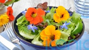 How edible flowers can make your dishes look and taste divine