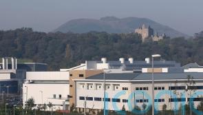 US citizen William Noel dies in Scottish hospital weeks after van collision