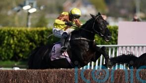 Galopin Des Champs and Fastorslow ready for Punchestown rematch