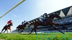 Trueshan all set for ‘tough’ Sagaro return