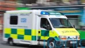 Man dies after being crushed by tree in Borders