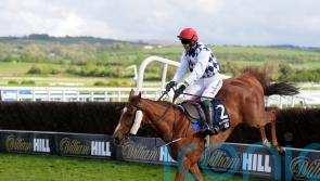 Banbridge pips Captain Guinness in Champion Chase thriller