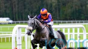 Tune proves pitch perfect in Punchestown romp