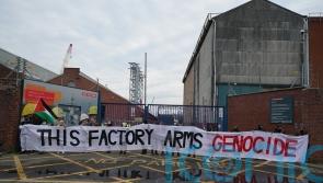 Arrests made as pro-Palestine protesters target BAE Systems and Government