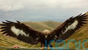 Missing golden eagle feared shot and killed, say police