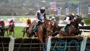 Teahupoo out for Cheltenham-Punchestown Festival double