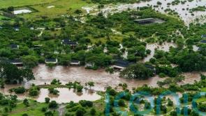 Tourists evacuated from Kenya’s Maasai Mara reserve amid flooding and heavy rain