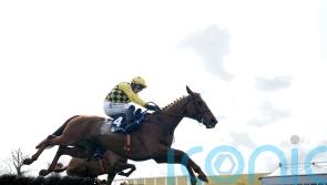 Dancing City backs up Aintree win with gritty Punchestown success