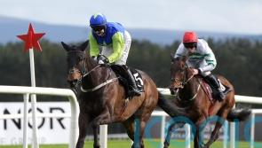 Redemption Day at Punchestown for Jody Townend