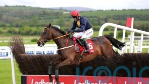Fastorslow too strong for Galopin Des Champs in Punchestown repeat