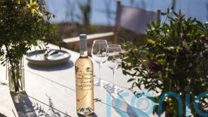 Outstanding organic wines to put a spring in your step