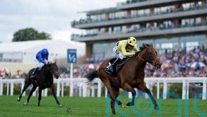 National hero Murphy relishing Rosallion’s bid for 2000 Guineas glory