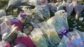 Boys, 12, searched online for news articles about machete murder, court told