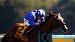 Connections confident Naqeeb has progressed enough to ask Gold Cup question