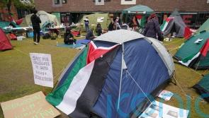 Student protests on UK campuses will spread but not get violent, say organisers