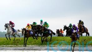 Singing Banjo hits the right notes at Punchestown