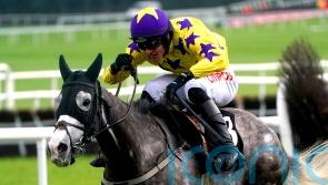 Il Etait Temps floors Gaelic Warrior for Grade One honours