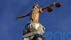 ‘Eunuch maker’ ringleader wanted to be ‘architect of his own body’, court told