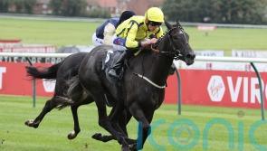 Beautiful Diamond aiming to sparkle in Palace House