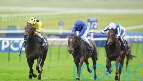 Boiling Point too hot for Newmarket rivals