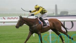 State Man seals perfect season with Punchestown glory