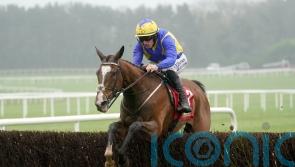 Brides Hill strolls to Punchestown victory