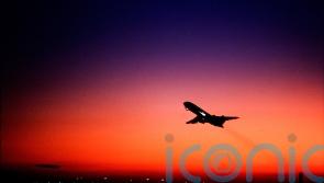 Snakes on a plane &ndash; almost &ndash; as reptiles found hidden in passenger&rsquo;s trousers