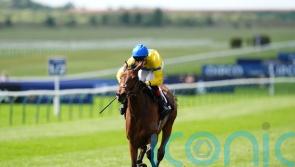 Stay Alert powers home to claim Dahlia prize