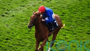 Life&rsquo;s a Breeze for Mountain following debut win