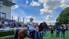 Friendly Soul remains unbeaten in Pretty Polly