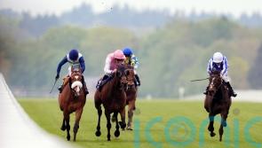 French trip planned to put Chorister on song for Gold Cup