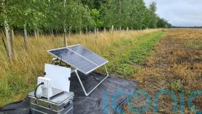 AI can ‘transform understanding of biodiversity threats and support action’
