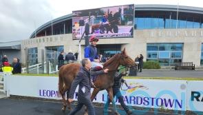 Joseph O’Brien believes Galileo Dame can answer Cheshire Oaks question