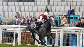 Cox looking towards Haydock for Jasour before Royal Ascot