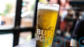 AB InBev sales grow but Bud Light boycott continues to drag on US arm