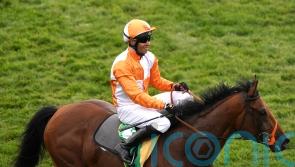 Jayarebe has Royal Ascot aspirations after Dee Stakes tilt