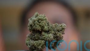 Thailand’s PM wants to outlaw cannabis two years after drug was decriminalised