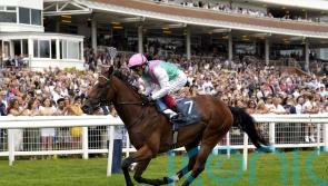 Arrest expected to strip fitter for Ormonde clash