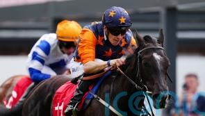 Seraphim Angel proves just divine for Dascombe
