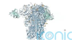 DeepMind’s AI can ‘predict how all of life’s molecules interact with each other’