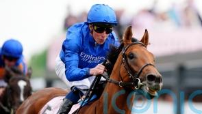 Tragedy strikes Hidden Law following Chester Vase victory