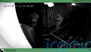 Police release CCTV of duo suspected of stealing gold artefacts from museum