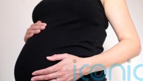 What is whooping cough and why are cases so high?