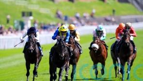 Never So Brave looks smart prospect in the making with Chester success