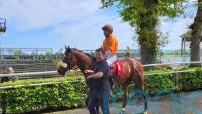 King Of The Bronx produces 200-1 shock at Gowran Park