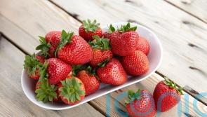 British strawberries delayed but will be ‘worth the wait’, say producers